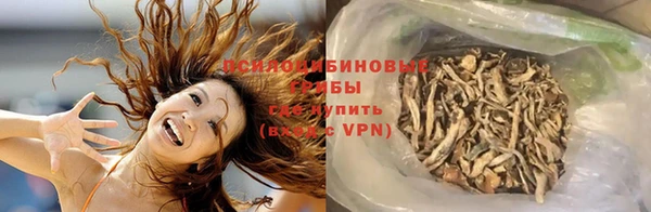 мяу мяу мука Дмитриев