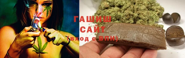 мяу мяу мука Дмитриев