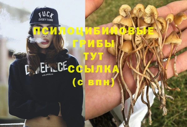 мяу мяу мука Дмитриев